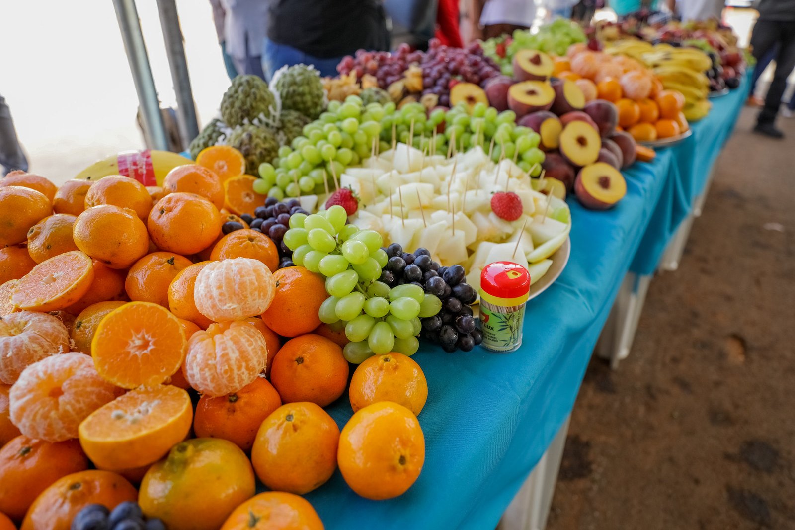 foto-geovana-albuquerque-8-frutas-2