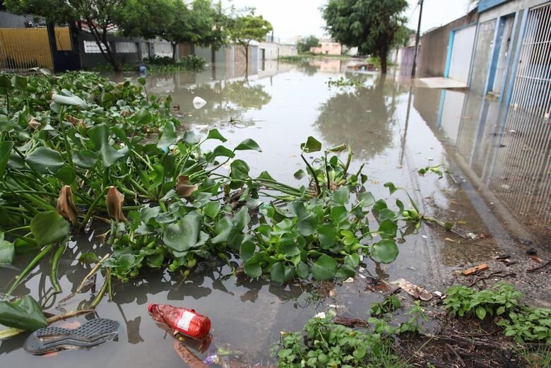 Transbordamento do Canal do Fragoso gera transtornos a moradores de Jardim Atlântico | Foto: Davi de Queiroz/Folha de Pernambuco