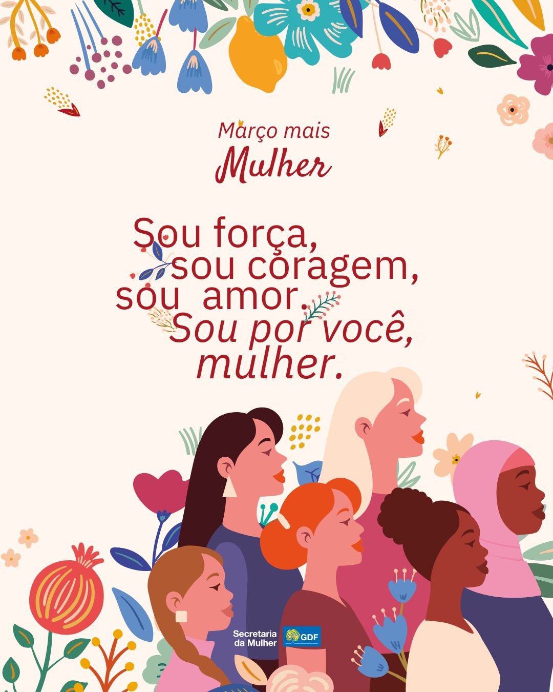 6-3-materia-smdf-foto-vinicius-de-melo-smdf-jpg